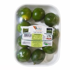 ORGÂNICO LIMÃO TAITI - 500g