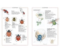 Inventario ilustrado de insectos - comprar online