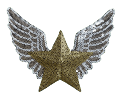 026 Estrella con alas