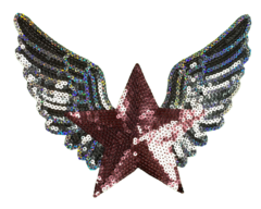 026 Estrella con alas - Hook Bordados