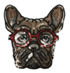1036 Perro con anteojos