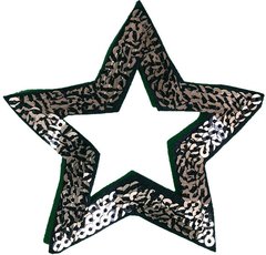 635 Estrella Calada 9cm - Hook Bordados