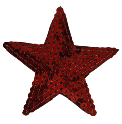 642 Estrella 6cm - Hook Bordados