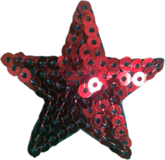 644 Estrella 4,5cm - Hook Bordados