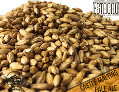 Malte PALE ALE belga - CASTLE MALTING - comprar online