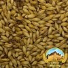 Malte Château Cara Ambra® (Cara Amber) belga - Castle Malting