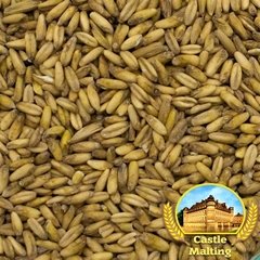 Malte de AVEIA (OAT) belga - AVEIA MALTADA Castle Malting