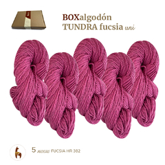 ALGODON TUNDRA / BOX 500GRS en 5 madejas - comprar online