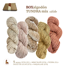 ALGODON TUNDRA / BOX MIX 500GRS en 5 madejas