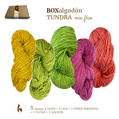 ALGODON TUNDRA / BOX MIX 500GRS en 5 madejas - tienda online