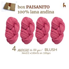 BOX PAISANITO/ 600grs - comprar online