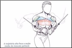 Puxador Cross Over Pulley Academia Musculação Fita Tríceps - Orion eShop | Informatica, Automotivo, Microfones
