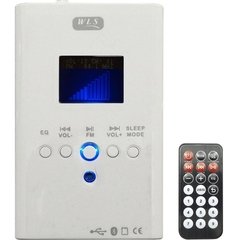 Amplificador De Parede Som Ambiente Bt Usb Fm Controle Remoto 110V