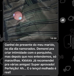 Vibrador Estimulador de clitóris com Pulsação - Piggy- porquinho na internet