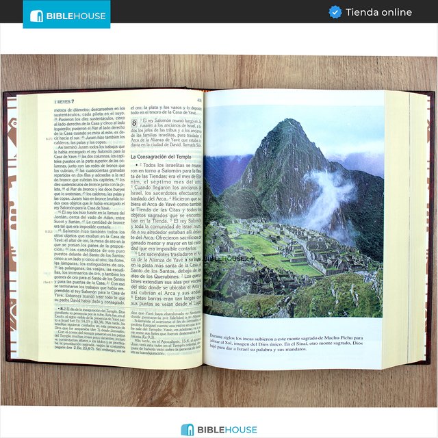 Biblia Católica Latinoamericana - Letra Grande - Tapa Dura - Roja