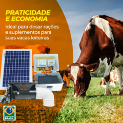 Alimentador automático bombona recondicionada de 30l com kit solar e divisor y para dois animais na internet