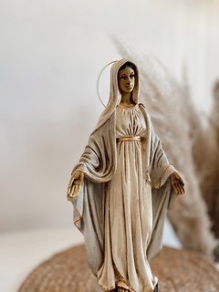Imagen Virgen Milagrosa (NO SE ENVIA POR CORREO ARGENTINO) en internet