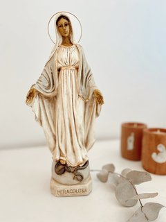 Imagen Virgen Milagrosa (NO SE ENVIA POR CORREO ARGENTINO) - comprar online
