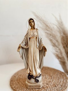 Imagen Virgen Milagrosa (NO SE ENVIA POR CORREO ARGENTINO) - Manantial de Luz