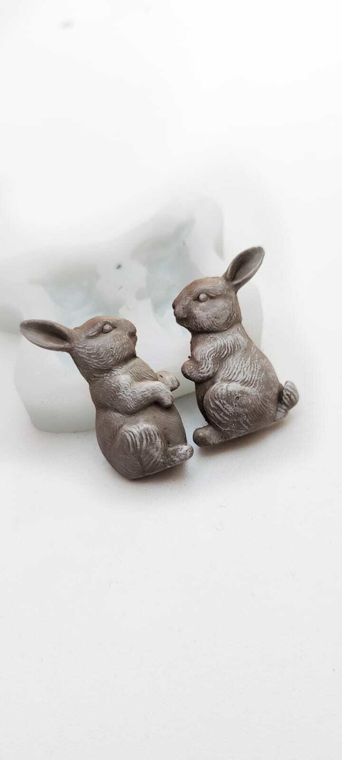 MOLDE CRAQUELINA &quot;NUEVO&quot; CONEJITO HOP