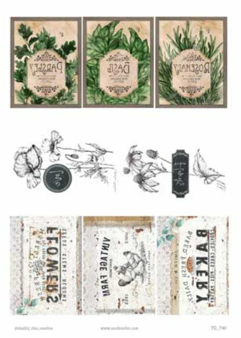 LAMINA DE TRANSFERENCIA CAROLINE 21X29 N°740