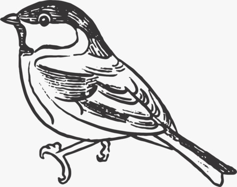 LINEA BOTANICA (BTG 42) 13X7CM