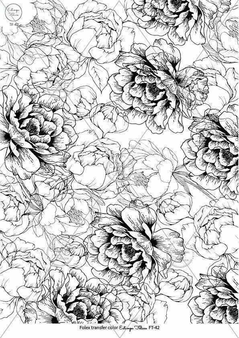 folextransfer color MEDIANO 20X24CM ESTAMPA FELICCE T42