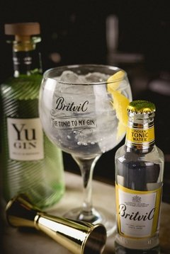 Britvic Copa Gin