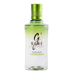 GIN GVINE FLORAISON X 700ML