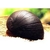 Caracol Neritina Black - comprar online