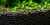Sustrato Plantados FLUVAL 4k Camarones Plantas en internet