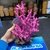 Coral resina rosa grande 77701