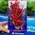 Planta fluval roja 1725