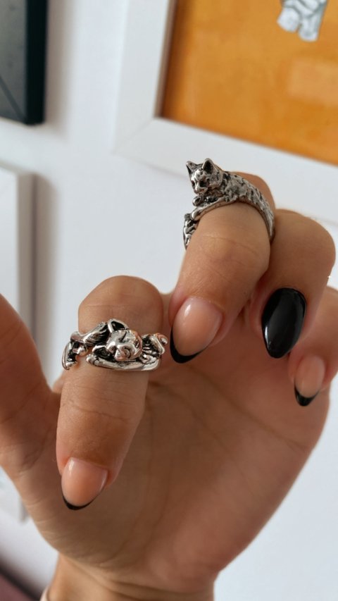 Anillos