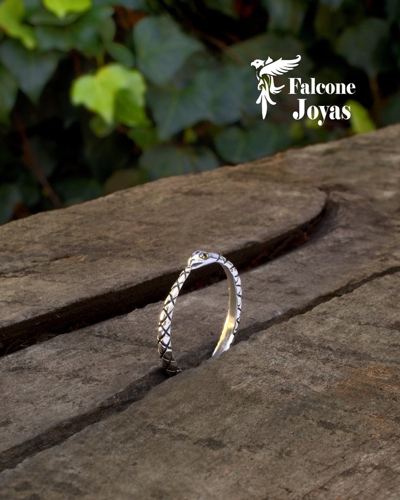 Anillo Ouroboros de Plata con Brillantes Elegantes