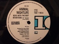 Vinilo Animal Nightlife Boys With The Best Intentions Maxi en internet