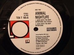 Vinilo Animal Nightlife Boys With The Best Intentions Maxi - BAYIYO RECORDS