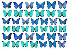 Lámina Comesible Mariposas Azul/turquesa