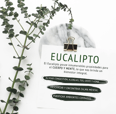 Herbal Spray de Eucalyptus Pura Soap - comprar online