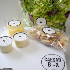 CAESAR BOX - Green-Go