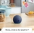 Amazon Echo Dot 5th GEN - tienda online