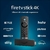 Amazon Fire TV Stick en internet
