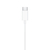 Earpods Apple USB-C iPhone 15 - Sky Blue Apple Store