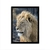 Quadro Decorativo Leão Rei Da Selva - comprar online