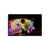 Quadro Decorativo Onca Colorida Neon Colorido na internet