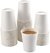 Kit Cafeteria Copos - 50 Copos de Papel Biodegradável 120, 210 e 300 ml para Café com Tampa - Termico - comprar online