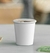50 Copos de Papel Biodegradável para Café com Tampa - Térmico, bebida quente ou fria - loja online