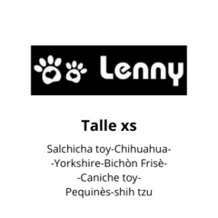 Combo Full Newén - Lenny