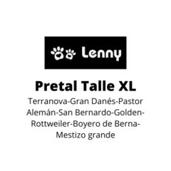 Combo Correa Doble + 2 Pretales - Lenny