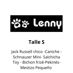 Combo Collar + Pretal + Correa Rocky - Lenny